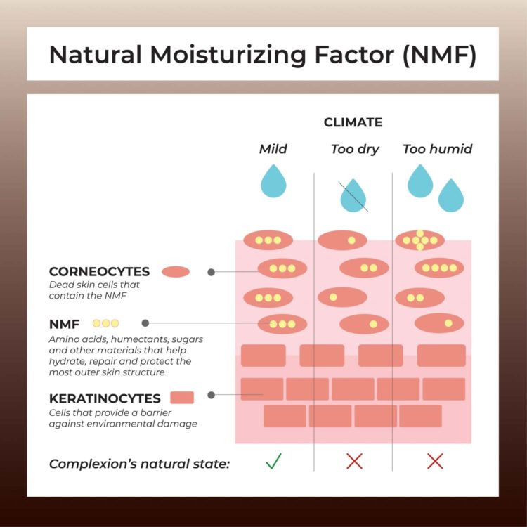 Your skin is naturally Climate-Smart